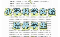 小学 好奇探究教育理念