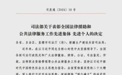 刑事法律援助参考文献