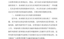 经营风险参考文献有哪些关键方向？