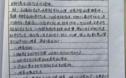 教育教学调查实践报告有何核心发现？