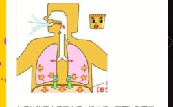 歌唱气息研究方法有哪些关键点？