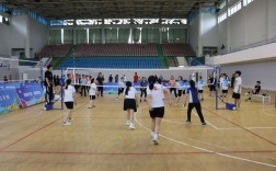 我校排球现状如何？研究聚焦哪些问题？