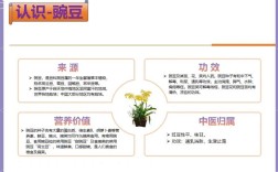 豌豆蛋白功能特性具体有哪些？