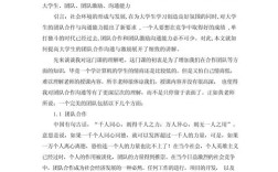 营销团队建设的关键要素与实践路径是什么？