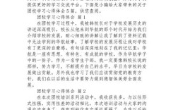 团日活动如何有效深化爱校教育？