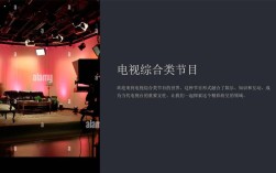 电视娱乐节目文化研究