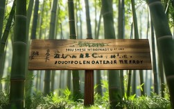 竹山新增无症状患者，竹山新增无症状患者轨迹公布