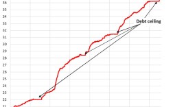 国外对负债指标的研究