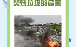 焚烧垃圾的参考文献有哪些？