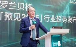 标杆企业研究，罗兰贝格洞察何在？