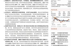 滴滴出行发展策略研究