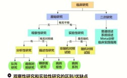 现状研究的类型有哪些？