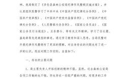 纪律教育自查整改汇报