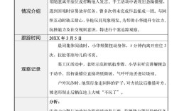 大班个案分析如何有效记录教育过程？