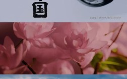 纪录片色彩应用参考文献有哪些？