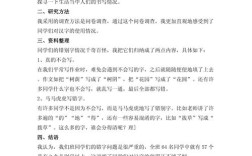 研究报告500字五年级