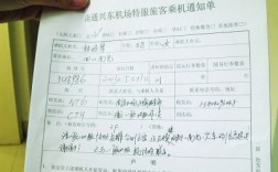 特殊旅客服务有哪些参考文献？