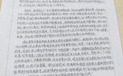 美国与中国的教育论文