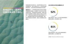 安永调查报告参考文献