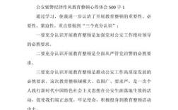 教育整顿专项活动成效如何？