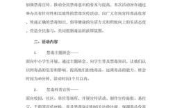 暑期教育禁毒活动方案如何有效落地？