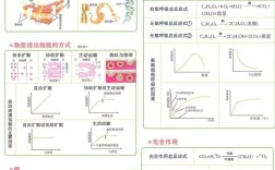 高中生物主要参考文献有哪些？