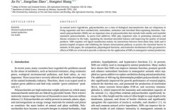 非营利组织国外参考文献有哪些核心研究方向？