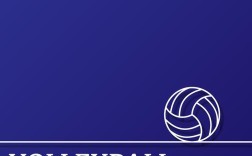 排球现状如何？调查研究背景为何？