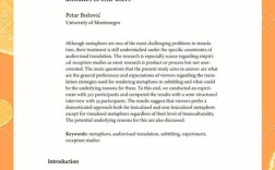 字幕翻译参考文献有哪些？