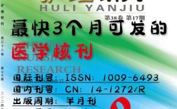 护理研究是属于什么期刊