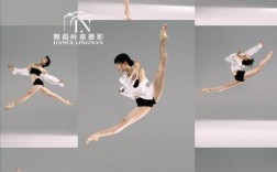 现代舞地面动作参考文献有哪些？