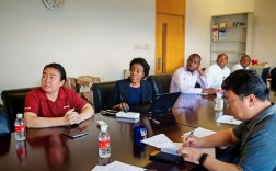 国外会计诚信的研究现状