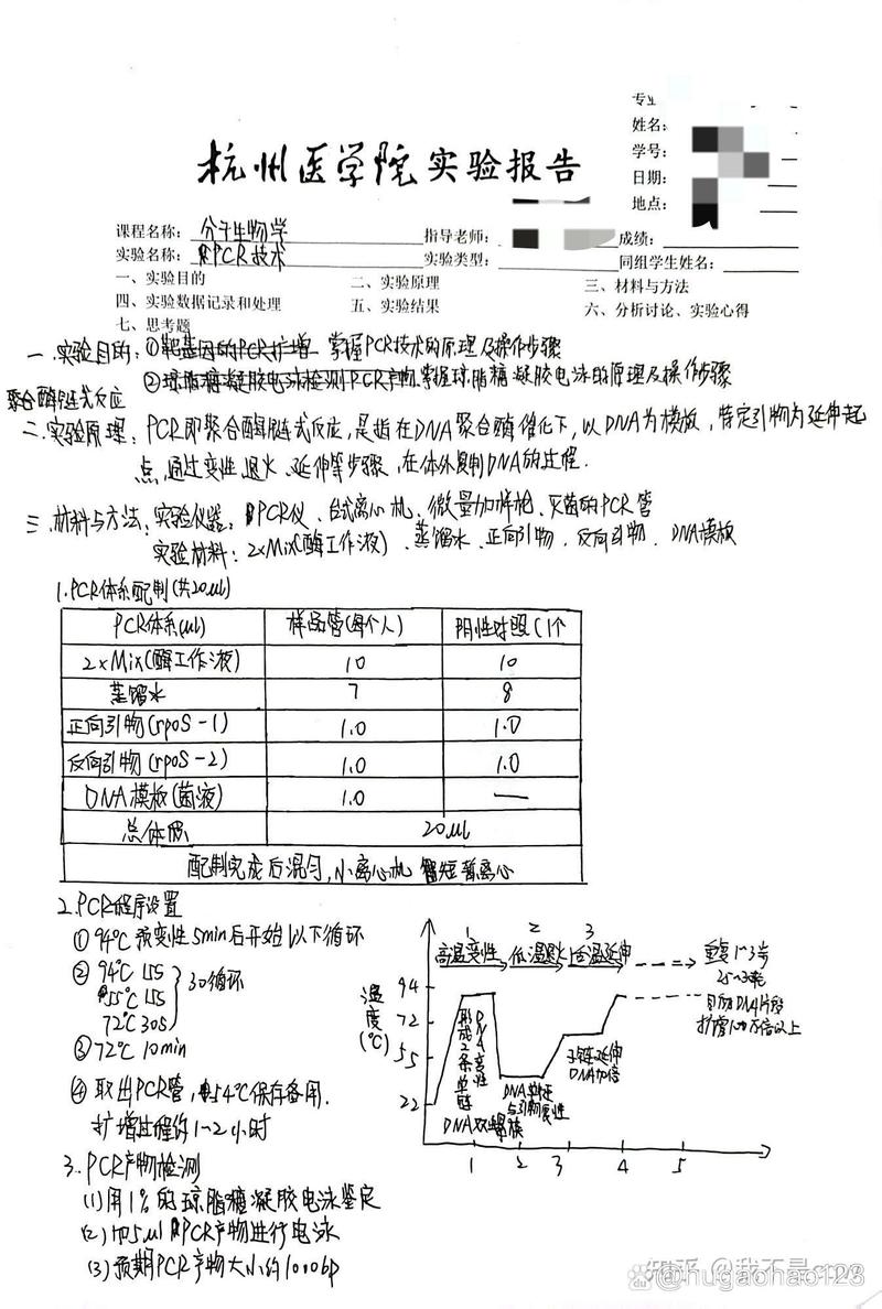 Flexsim实验报告总结参考文献如何规范应用？-图2