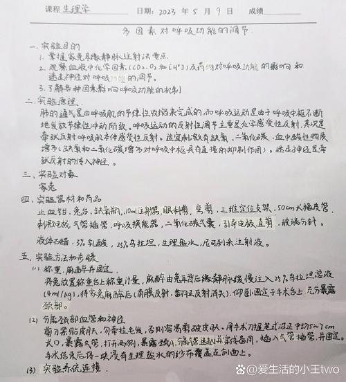 Flexsim实验报告总结参考文献如何规范应用?-图3 Flexsim实验报告总结参考文献如何规范应用?-图3