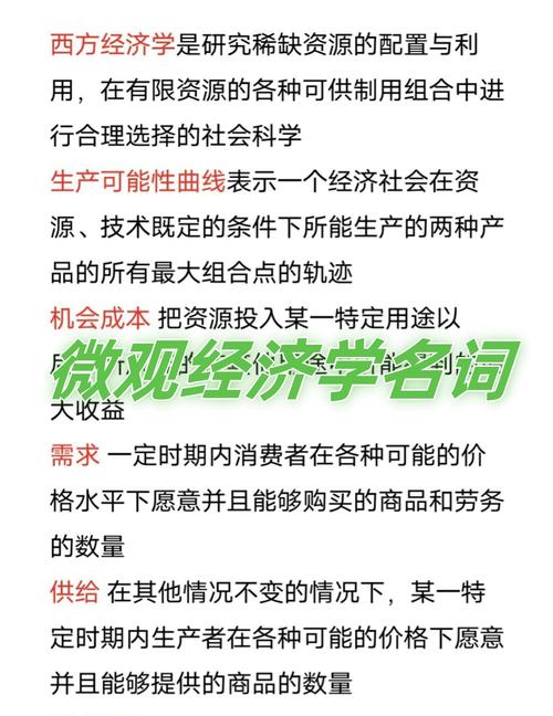 微观经济学为何被定义为研究整体经济?-图1 微观经济学为何被定义为研究整体经济?-图1