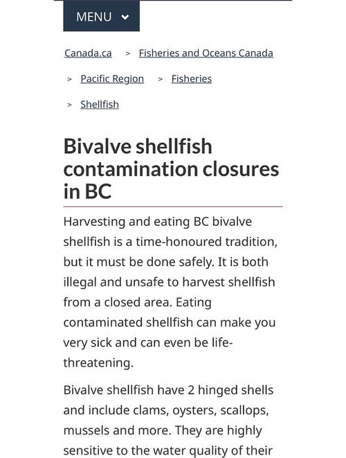 参考文献来源网站新闻eb ol如何规范引用?-图3 参考文献来源网站新闻eb ol如何规范引用?-图3