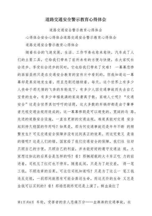 交通安全警示教育心得体会-图1 交通安全警示教育心得体会-图1