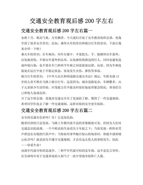 交通安全警示教育心得体会-图2 交通安全警示教育心得体会-图2