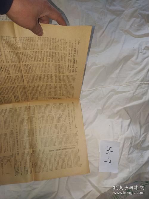 CSSCI参考文献没有出版年-图3