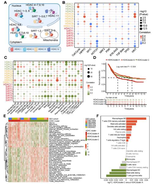 Nord C参考文献有哪些？-图3