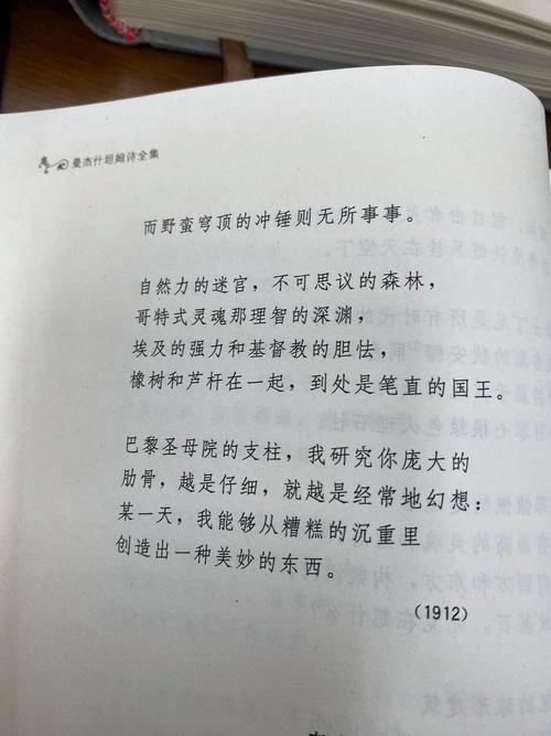 译本差异如何影响翻译研究的意义？-图2