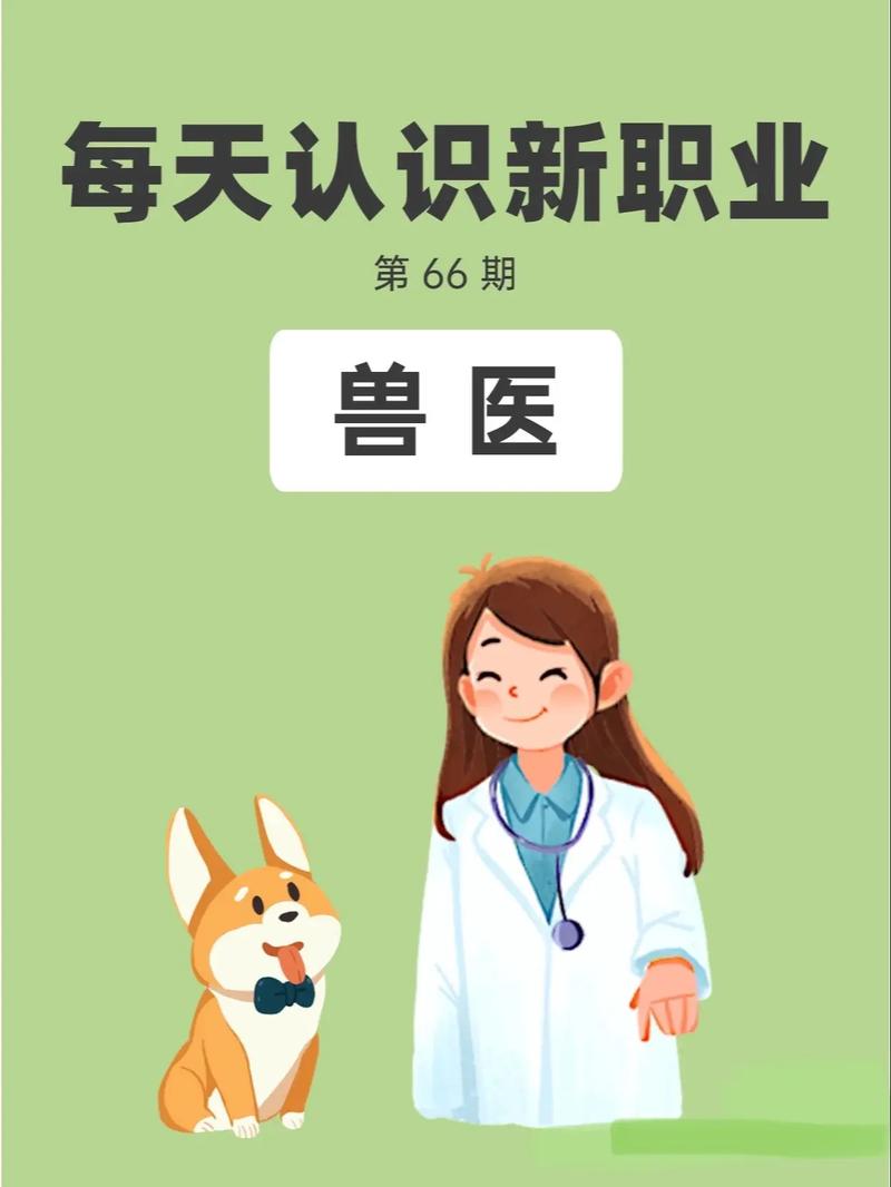 国内兽医教育改革方向,如何破解实践与人才需求难题?-图2 国内兽医教育改革方向,如何破解实践与人才需求难题?-图2