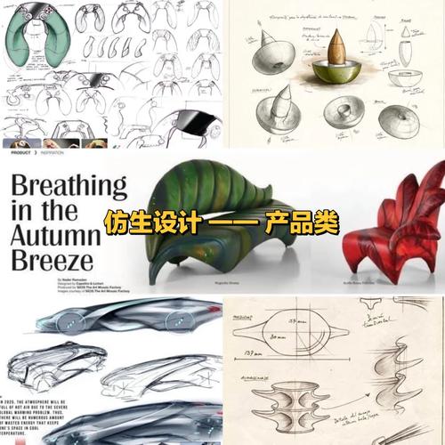 产品仿生设计有何独特价值与创新意义？-图2