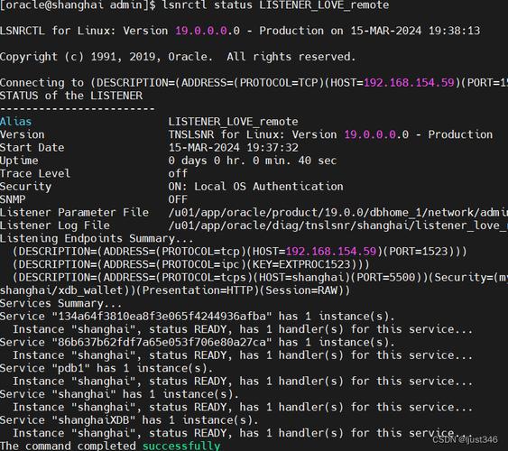 Oracle数据库参考文献有哪些经典著作？-图2