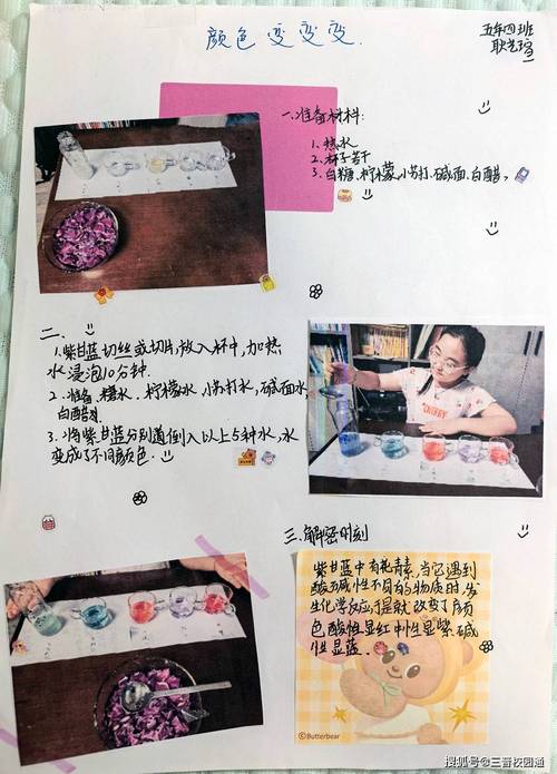 小学 好奇探究教育理念-图3 小学 好奇探究教育理念-图3