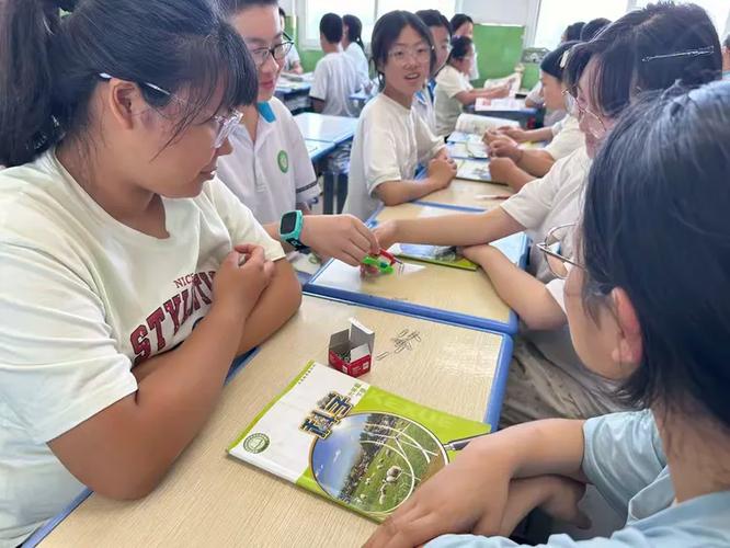 物体等分，如何科学设计教育活动？-图3