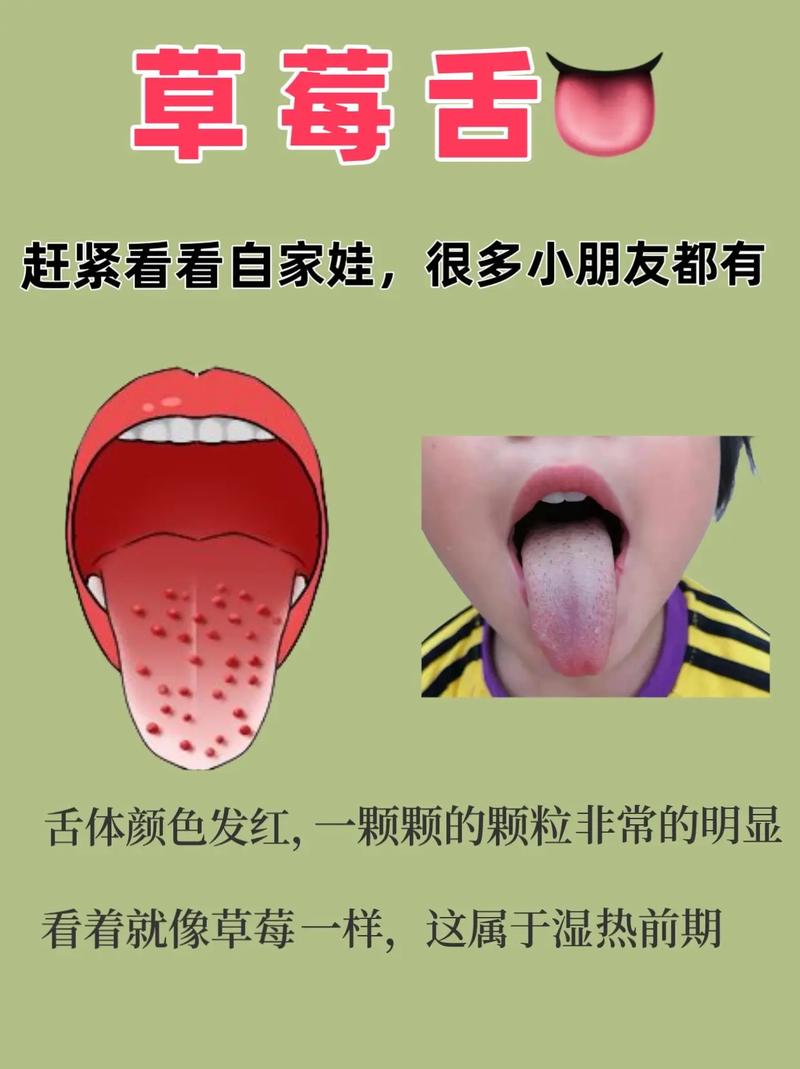 小班健康教育活动，舌头如何引导幼儿认知？-图3