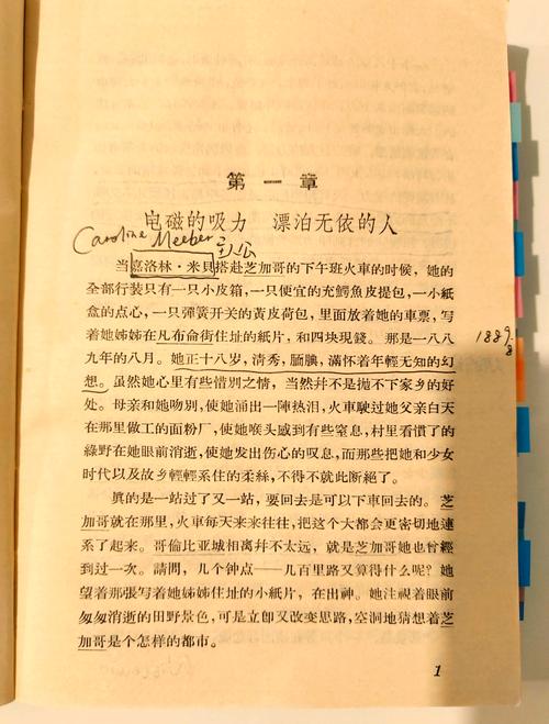 嘉莉妹妹中英文参考文献有哪些关键资源？-图1