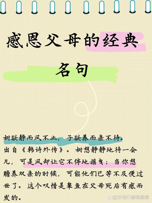 感恩父母 珍惜教育机会-图2 感恩父母 珍惜教育机会-图2