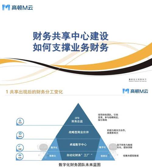 财务共享因何兴起?其研究价值何在?-图3 财务共享因何兴起?其研究价值何在?-图3